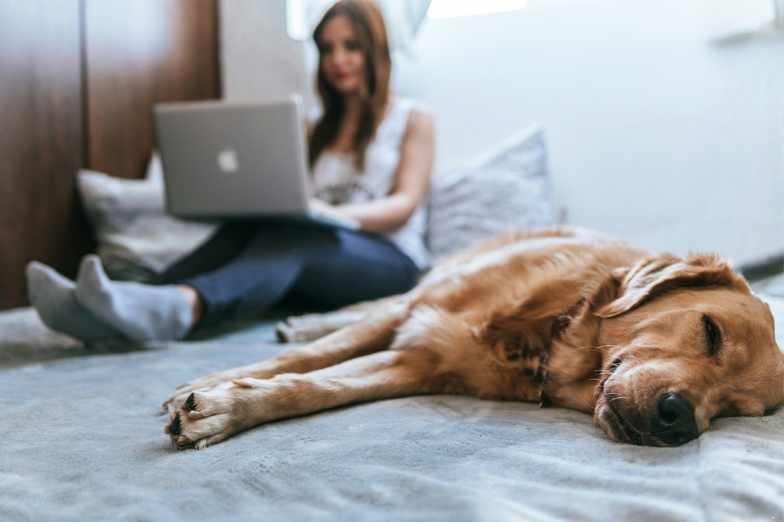 How much does LMI really add to a home's cost?